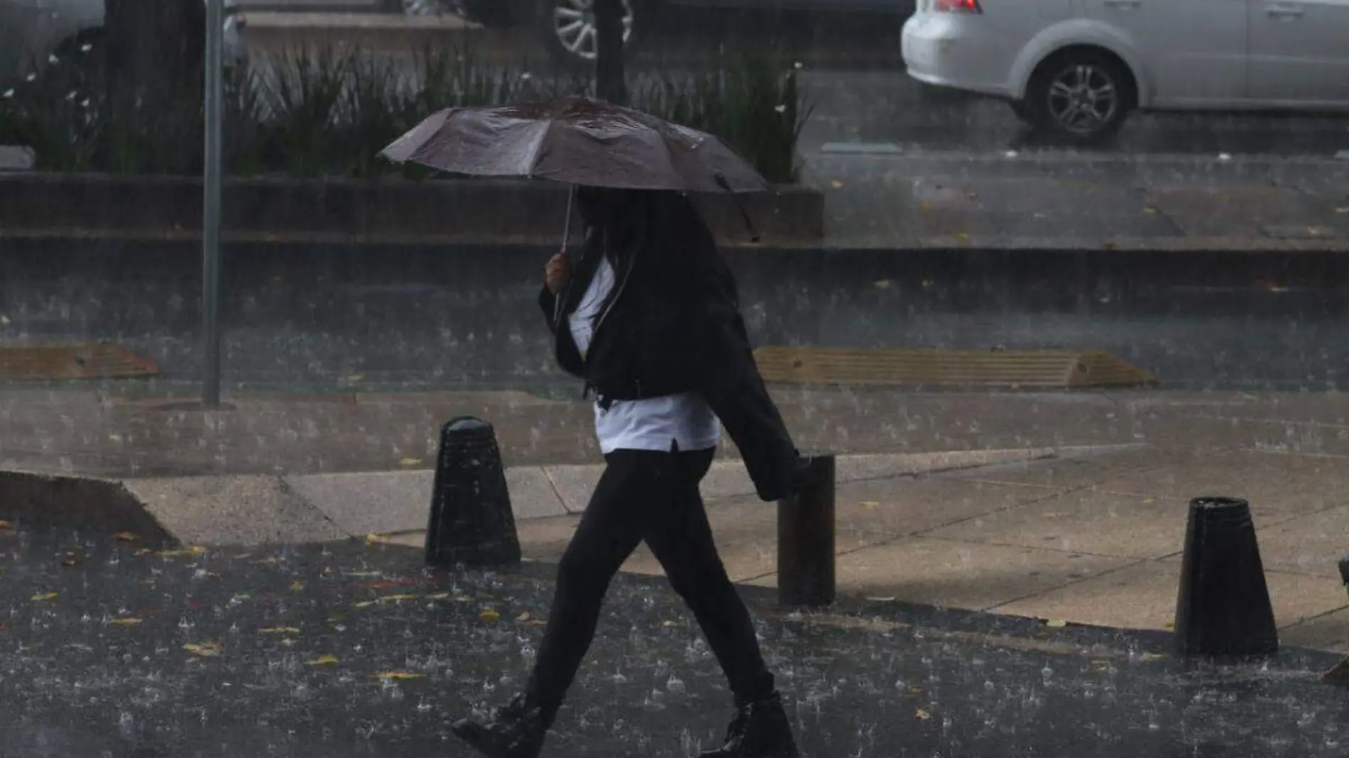 Tormenta Orlene provocará lluvias fuertes en estos 10 estados mexicanos